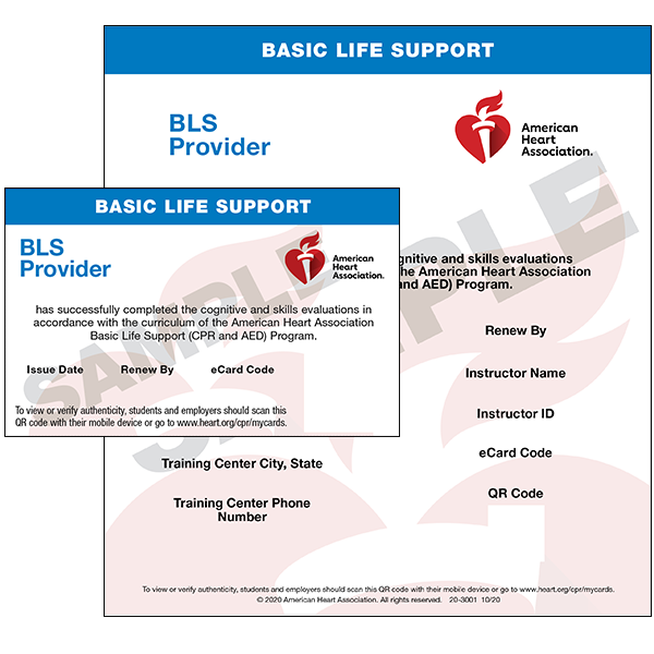 BLS (2020)